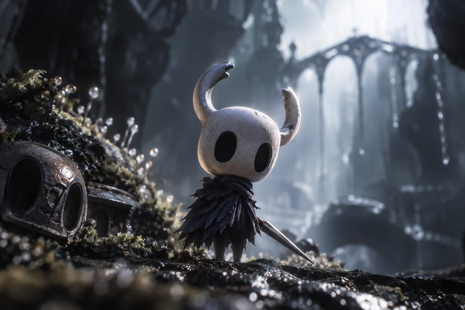 Hollow Knight